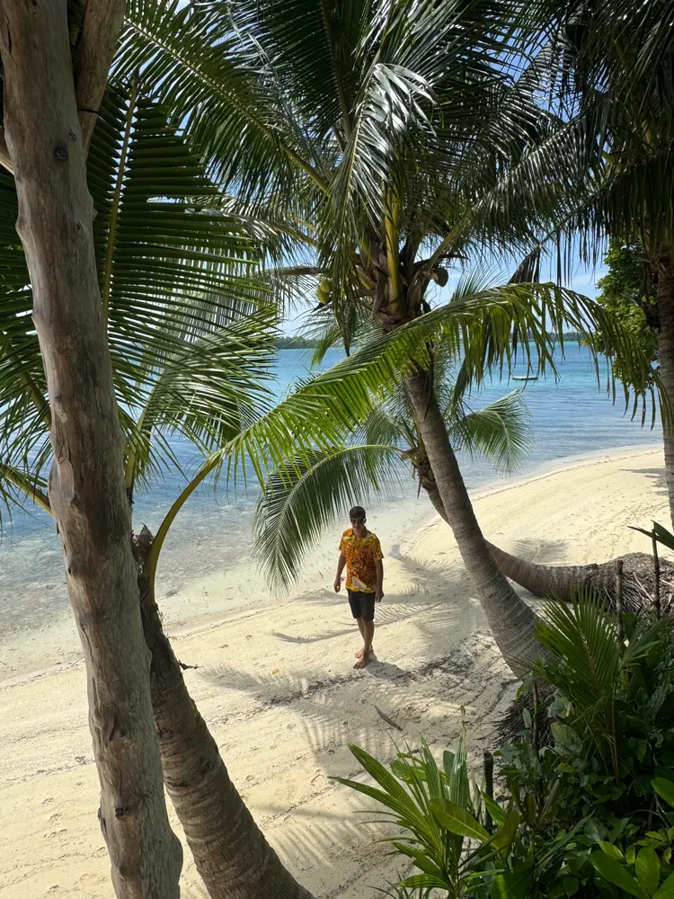 A beach under palms, with a person walking on the sand