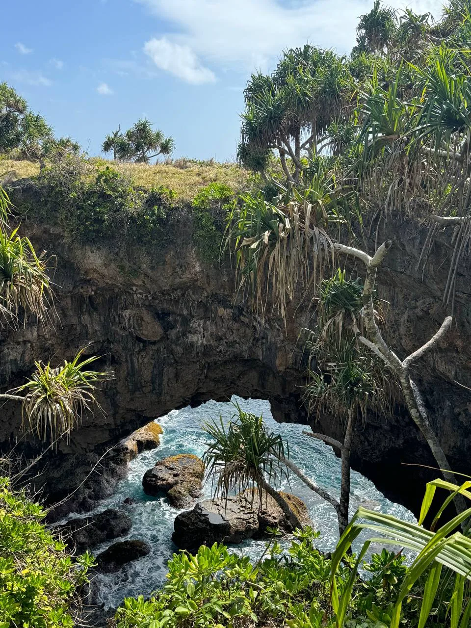 A natural stone arch with surf, photographed from above through pandanus and greenery, Tonga