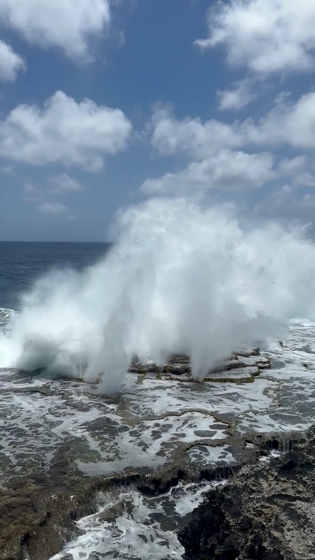 Surf pounding a flat volcanic limestone shelf, white jets of seawater bursting from holes in the rock under a blue sky with cumulus clouds, Tonga