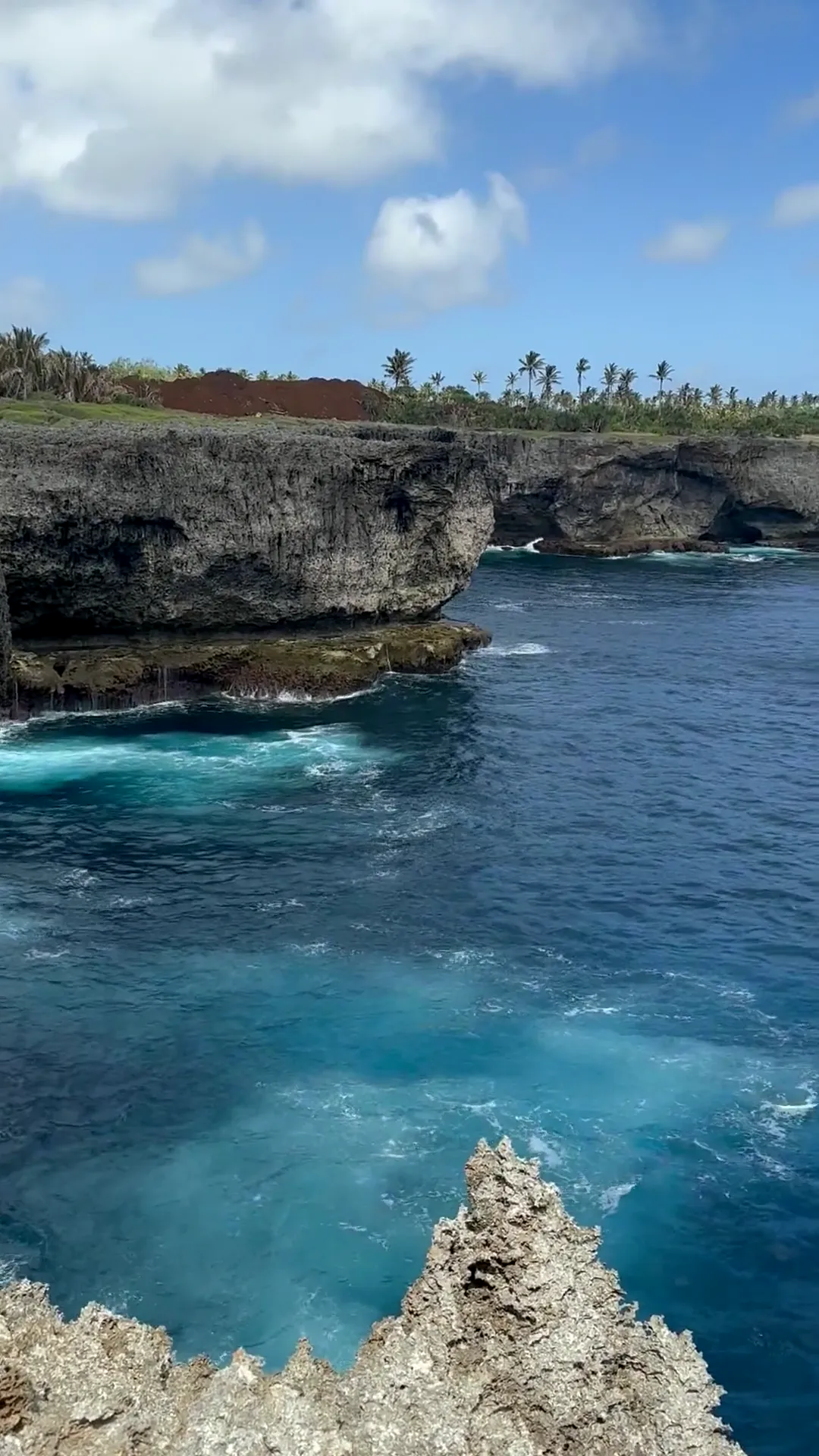 Dark limestone sea cliffs, jagged pale coral rock in the foreground, turquoise surf at their foot and the dark blue ocean, a plateau with palm trees and clouds, Tonga