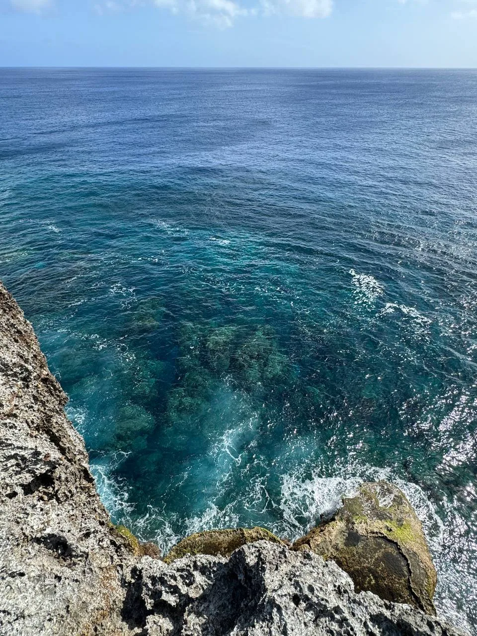 Looking down from a limestone cliff into dark blue water over the reef, Tonga