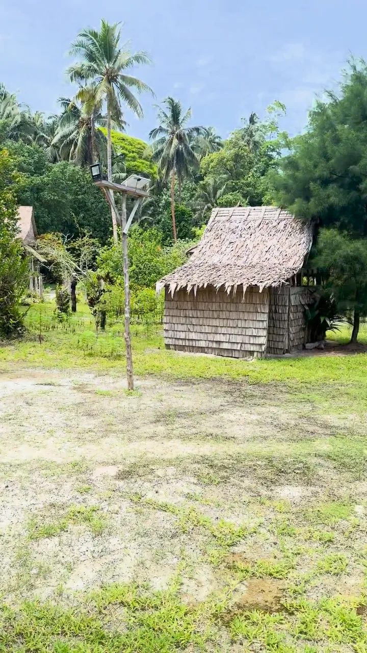 A pan across a beach, a hut with a thatched roof and a lawn with palms; a dog runs through